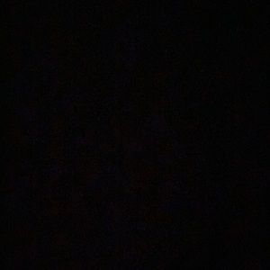 Meet your Posher, Madeline